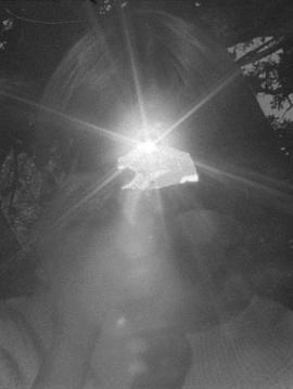 让我告诉你一个秘密封面图