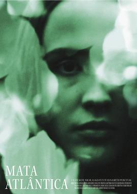 Mata Atlantica封面图