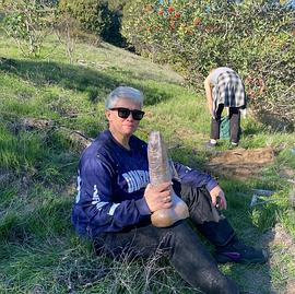 The Porn Selector封面图