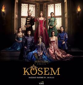 苏丹皇太后 第二季封面图