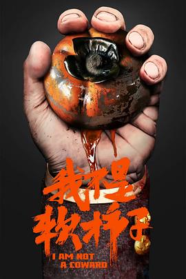 我不是软柿子封面图