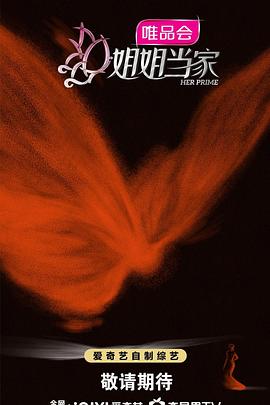 姐姐当家封面图