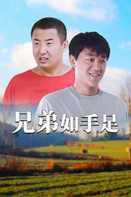 兄弟如手足封面图