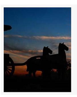 出土的王国封面图