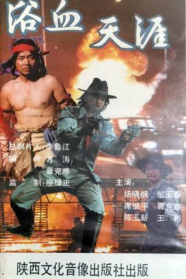 浴血天涯封面图
