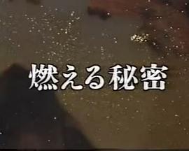 燃烧的秘密封面图