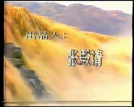 黄河谍影封面图