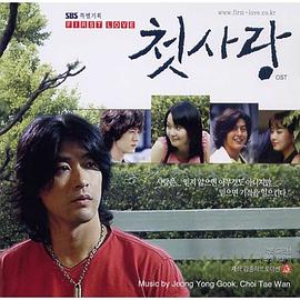 爱的初恋封面图