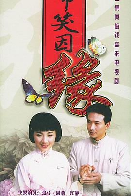 啼笑因缘封面图