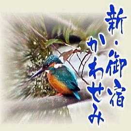 新・翠鸟旅馆封面图