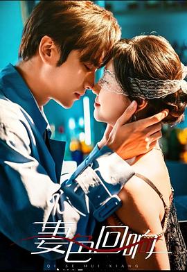 妻色回响封面图