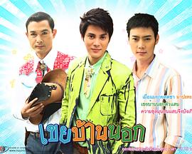 乡村女婿封面图