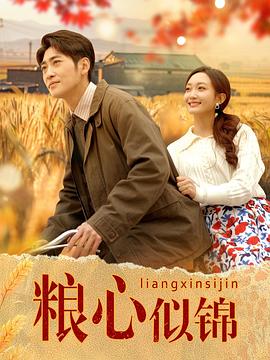 粮心似锦封面图