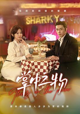 掌中之物封面图