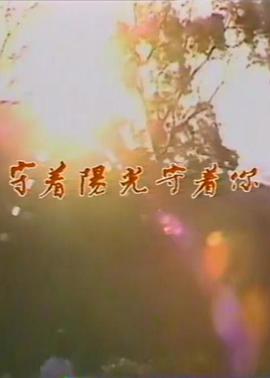 守着阳光守着你封面图