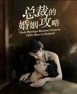 总裁的婚姻攻略封面图