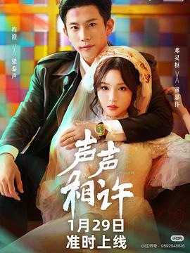 声声相许封面图