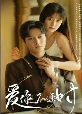 爱你不逢时封面图