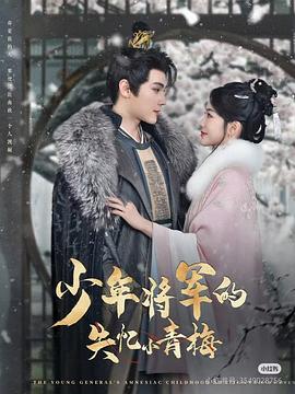 少年将军的失忆小青梅封面图