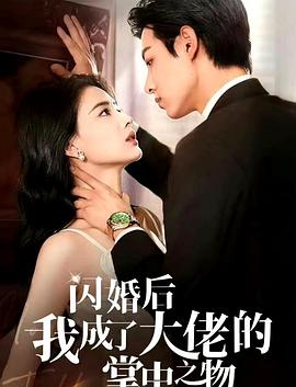 闪婚后我成了大佬的掌中之物封面图