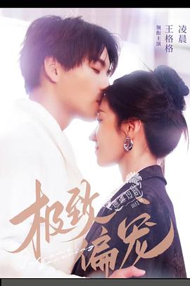 极致偏宠封面图