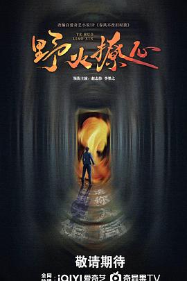 野火撩心封面图