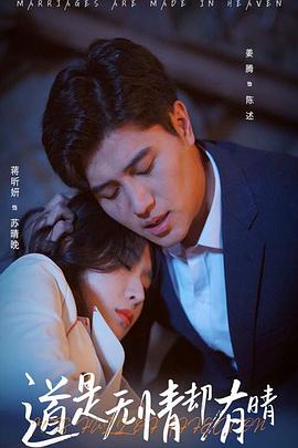 道是无情却有晴封面图