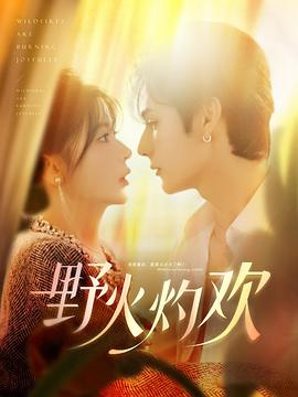 野火灼欢封面图