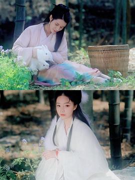 医女和兔子精封面图