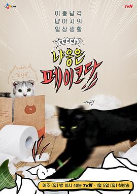 喵是假的封面图