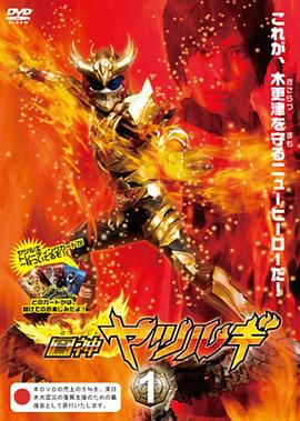 凤神八剑封面图