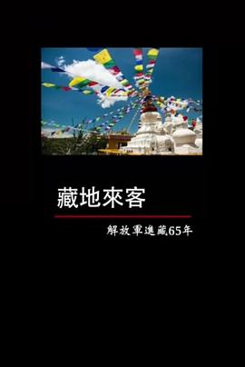 藏地来客——解放军进藏65年封面图