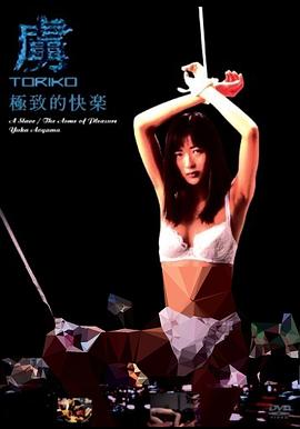 虜 TORIKO 極致的快楽封面图