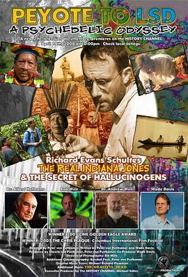 迷幻奥德赛封面图