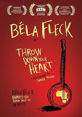 恋恋班卓琴封面图