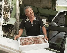 纪实72小时 旅行渔夫 钓乌贼的人生封面图