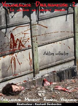 Vengeance Douloureuse 2: La colère ne meurt jamais封面图