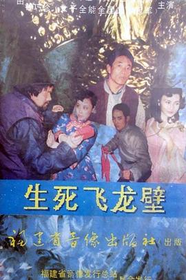 生死飞龙壁封面图