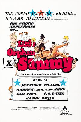 小孤儿萨米封面图