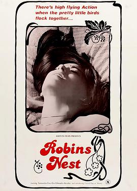 罗宾的巢穴封面图