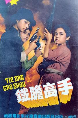 铁胆高手封面图