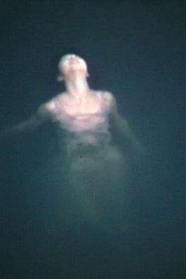 おでかけ日记封面图