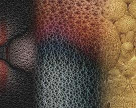 电子欢愉之园封面图