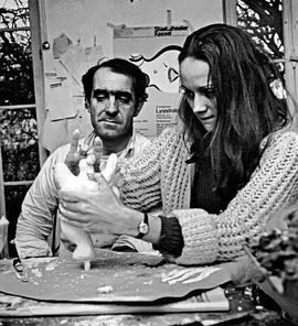 妮基·圣法勒和让·丁格利 艺术界的邦妮和克莱德封面图