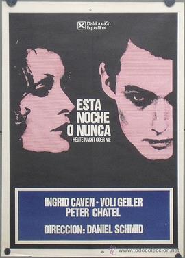 今夜或永不封面图