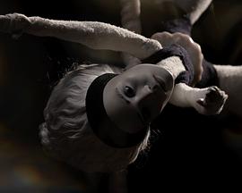 In Perpetuum封面图