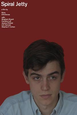 Spiral Jetty封面图