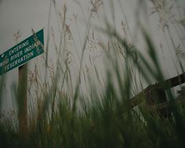 风河归途封面图