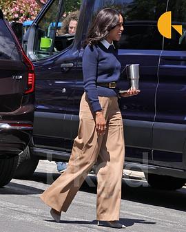 政界野兽封面图