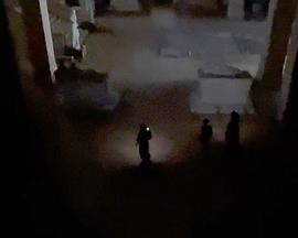 石棺里的醉生梦死封面图